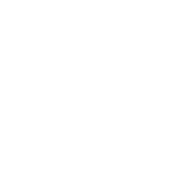 Accessible Options